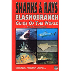 Shark & Rays, Guide Of The World